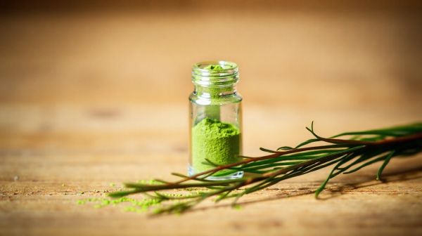 10 raisons de choisir la spiruline artisanale en comprimé
